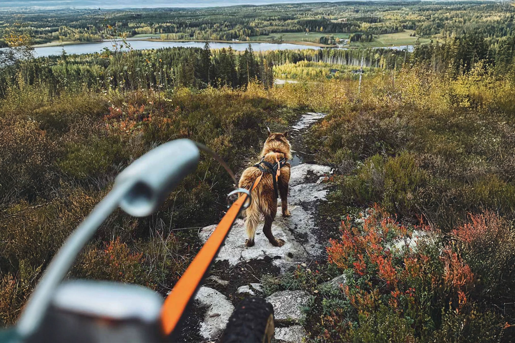 Non-stop-bike-antenna