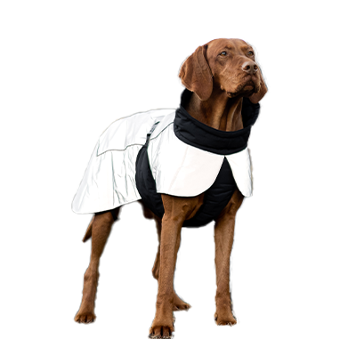 Hundeklær