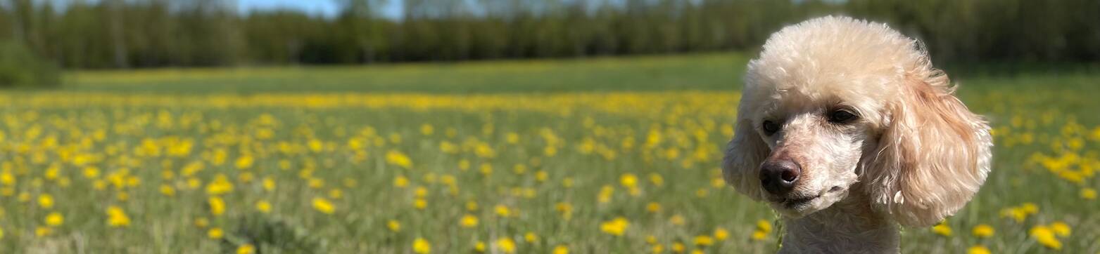 articles-page-header