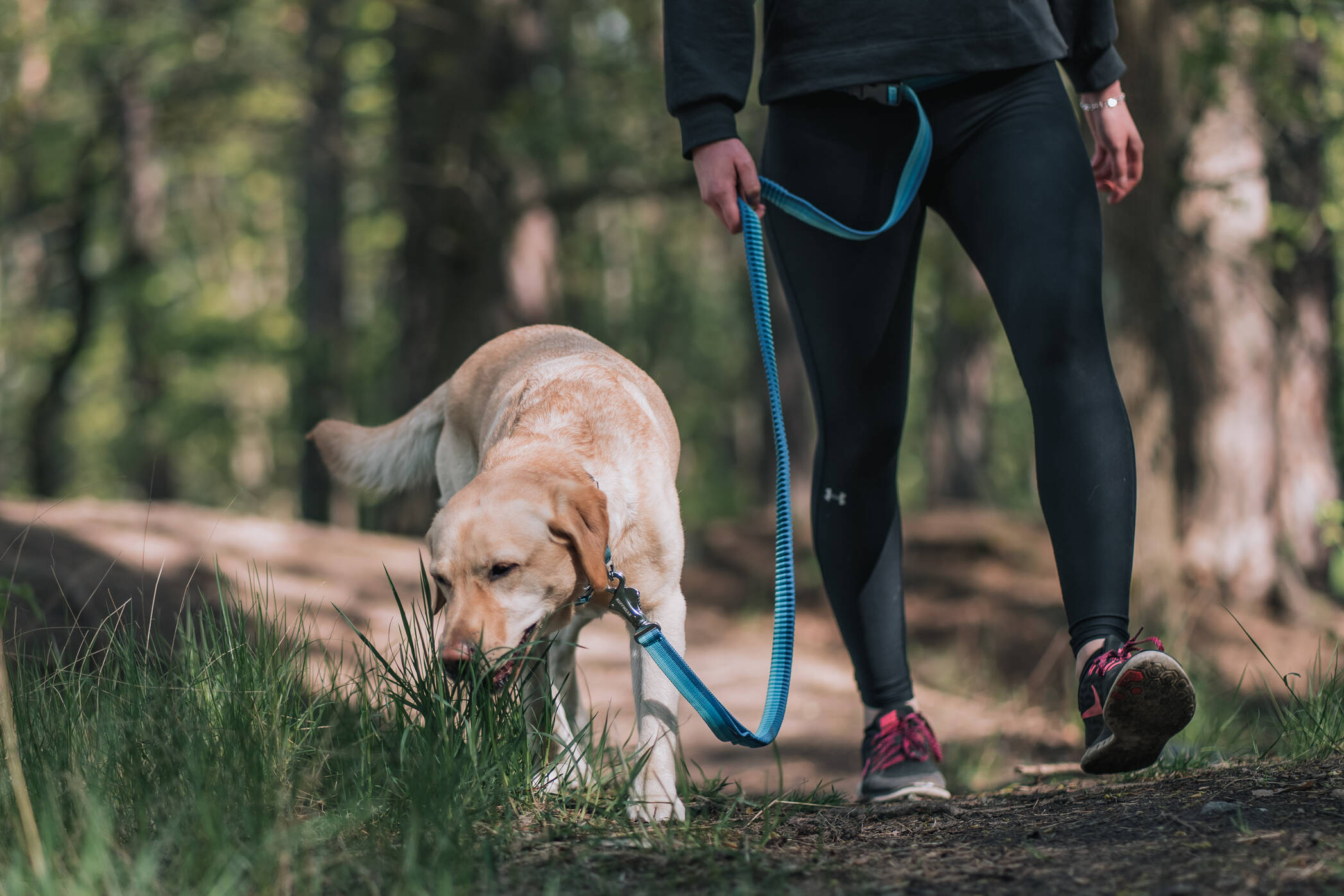 VetZoo Hagaparken - WHYMAC-74 2094x1396 px