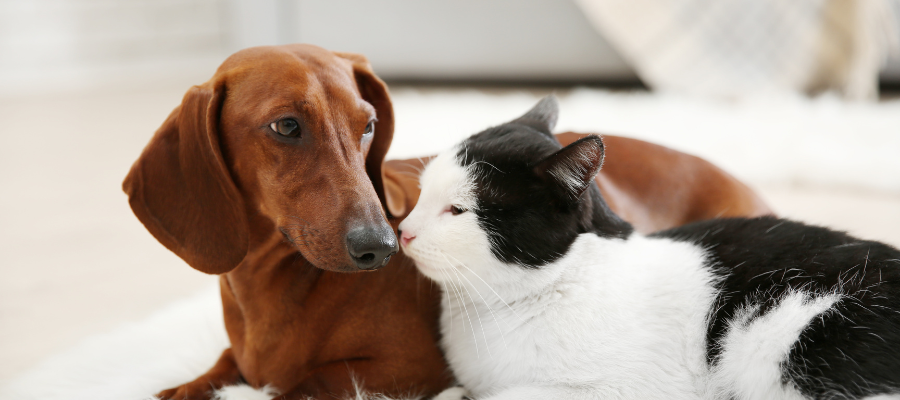 articles-page-header