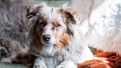 articles-page-header