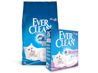 Katt liggandes på golvet med Ever Clean produkt