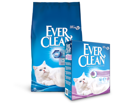 Katt liggandes på golvet med Ever Clean produkt