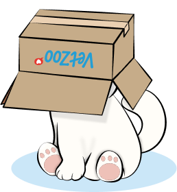 cat-box