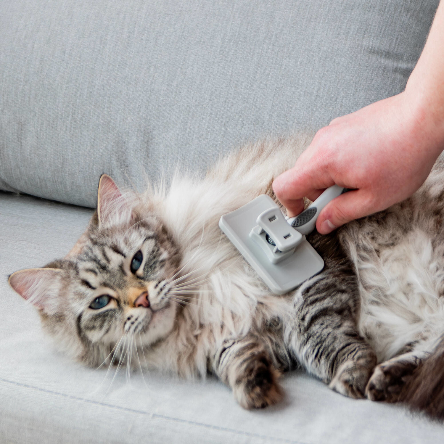 Pureplay article Health CAT 3x2