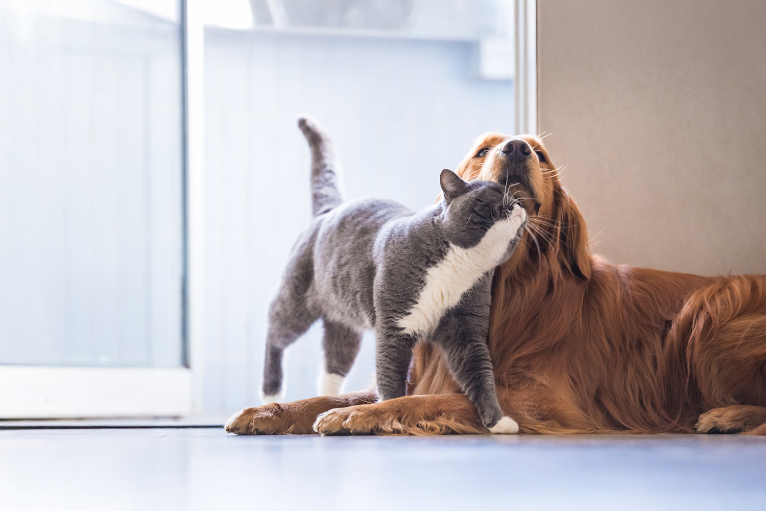 articles-page-header