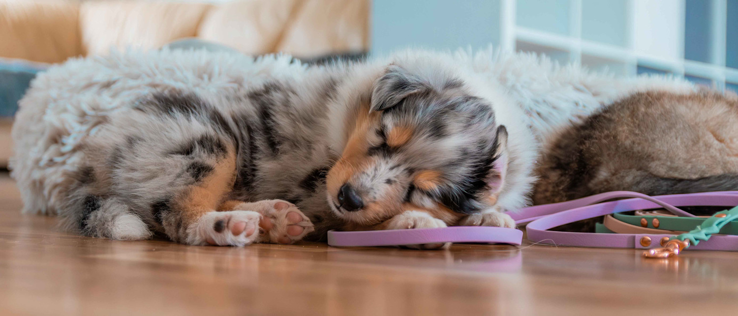 PKT Giftcard-hero-5536x2372