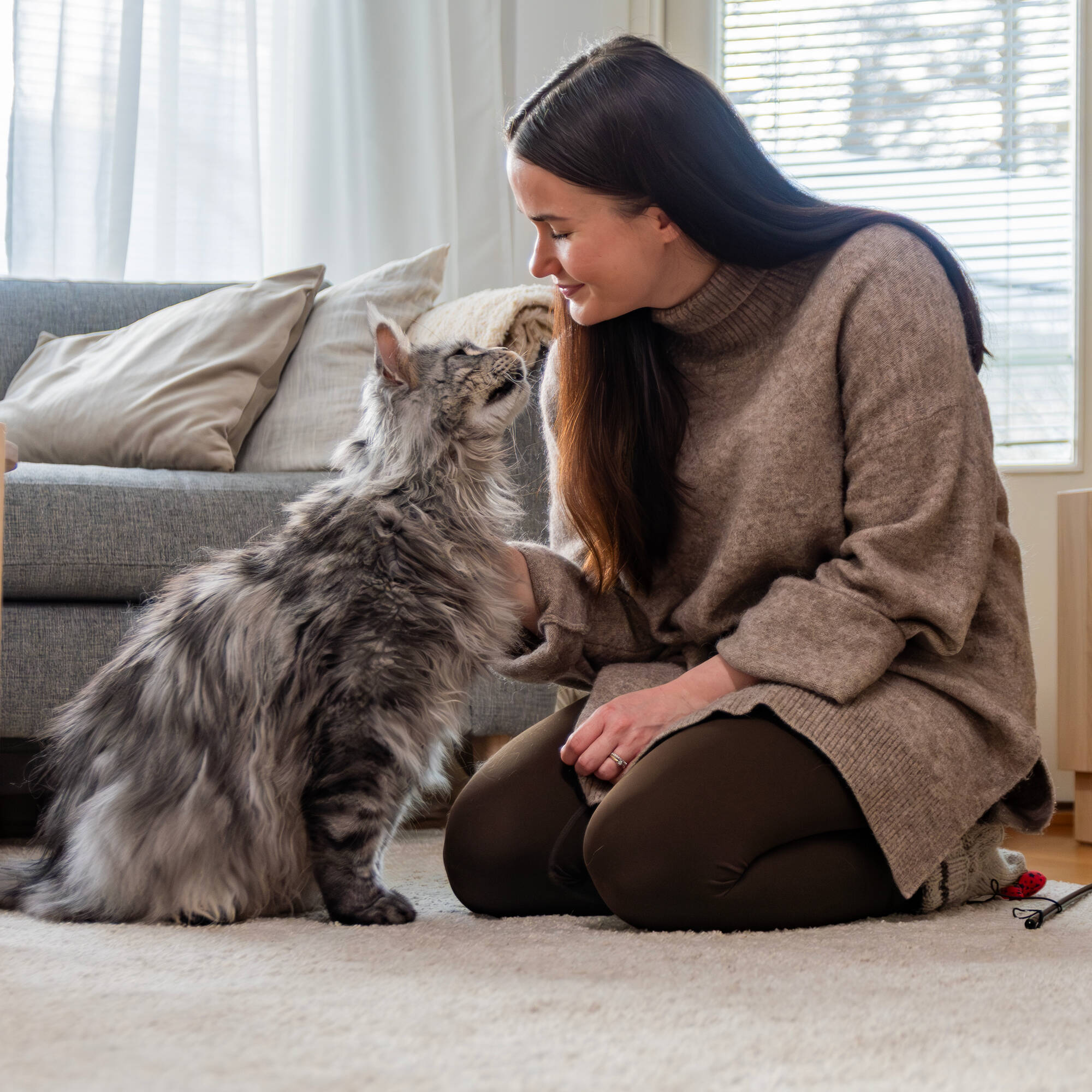 Pureplay article Buy Cat CAT 3x2