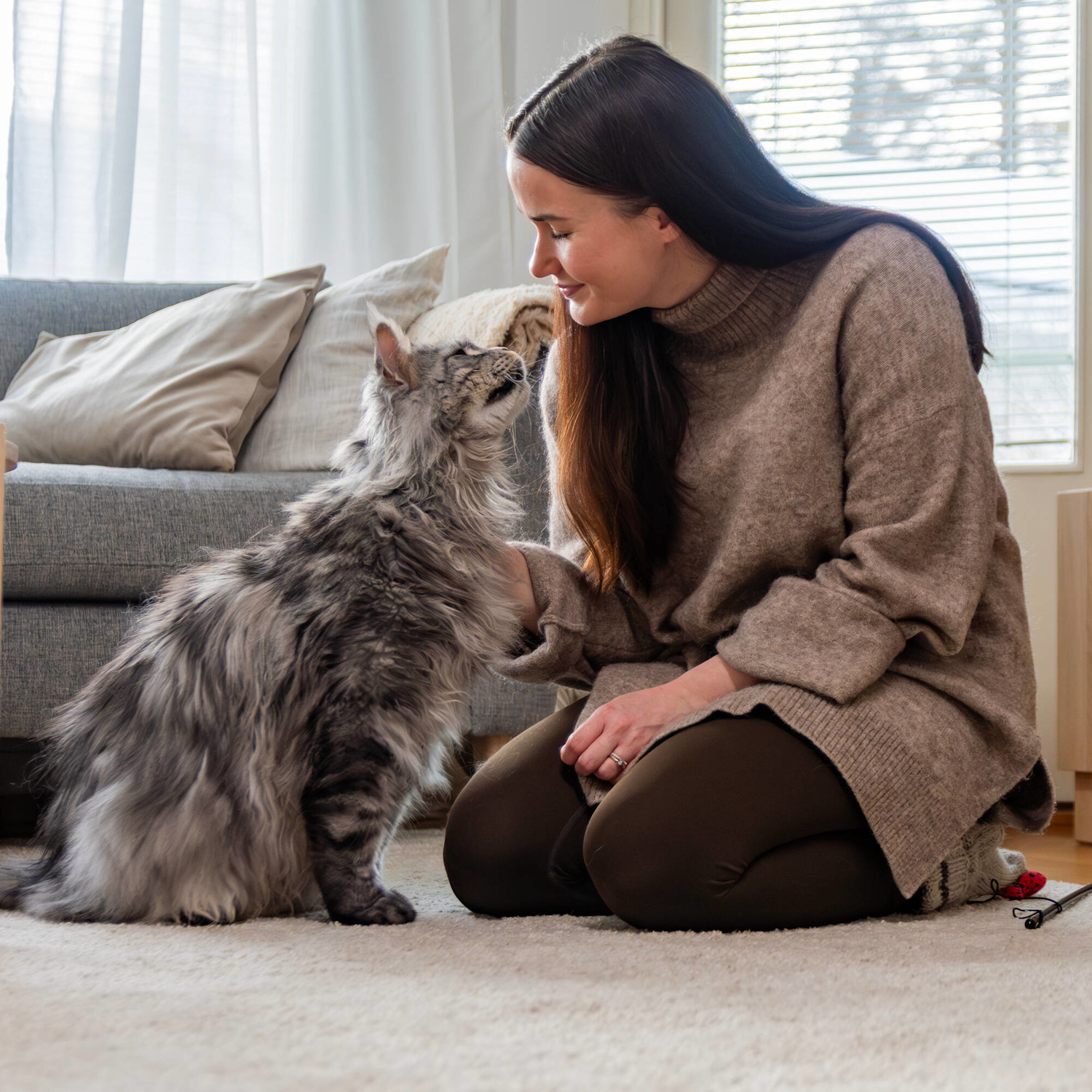 Pureplay article Buy Cat CAT 3x2