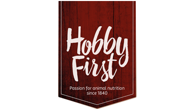 BRAND LOGO/ Hobby First