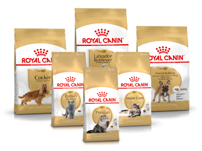 Royal Canin Breed 