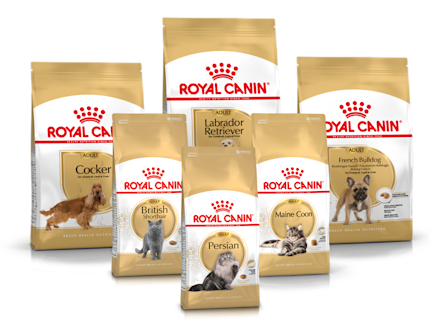 Royal Canin Breed