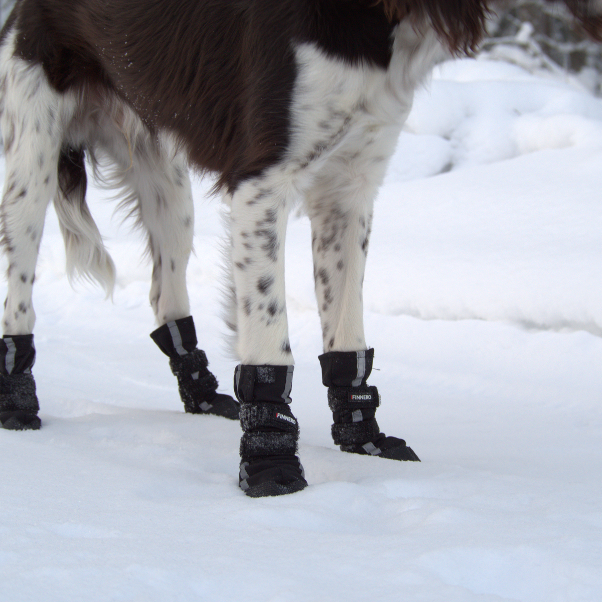 Dog-boots