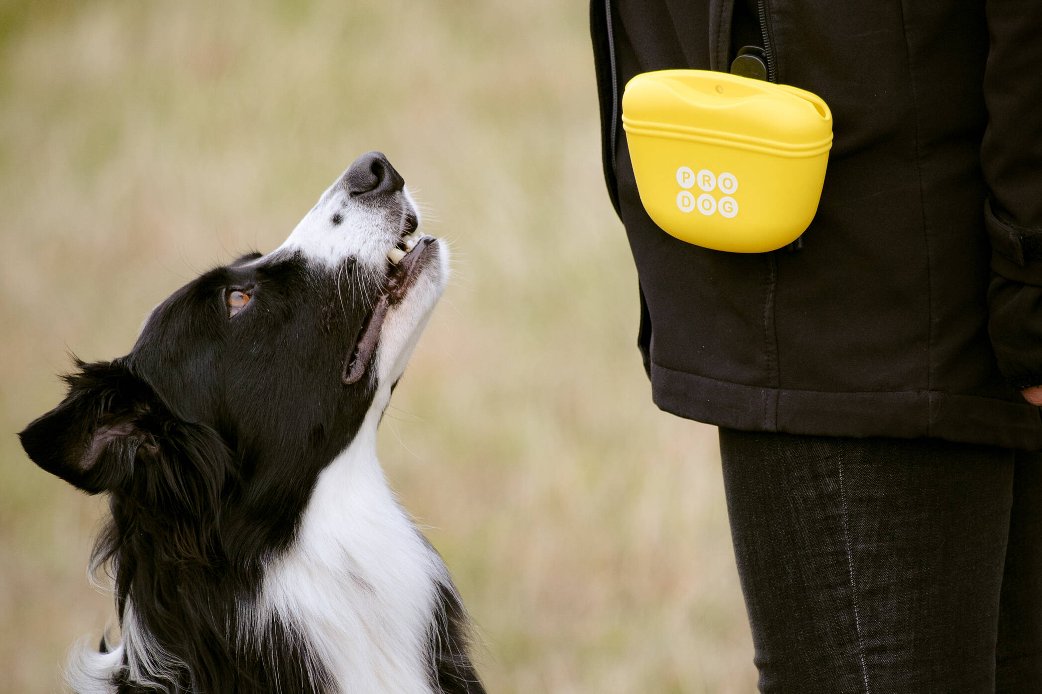 156007 Pro Dog yellow treat bag 1-10