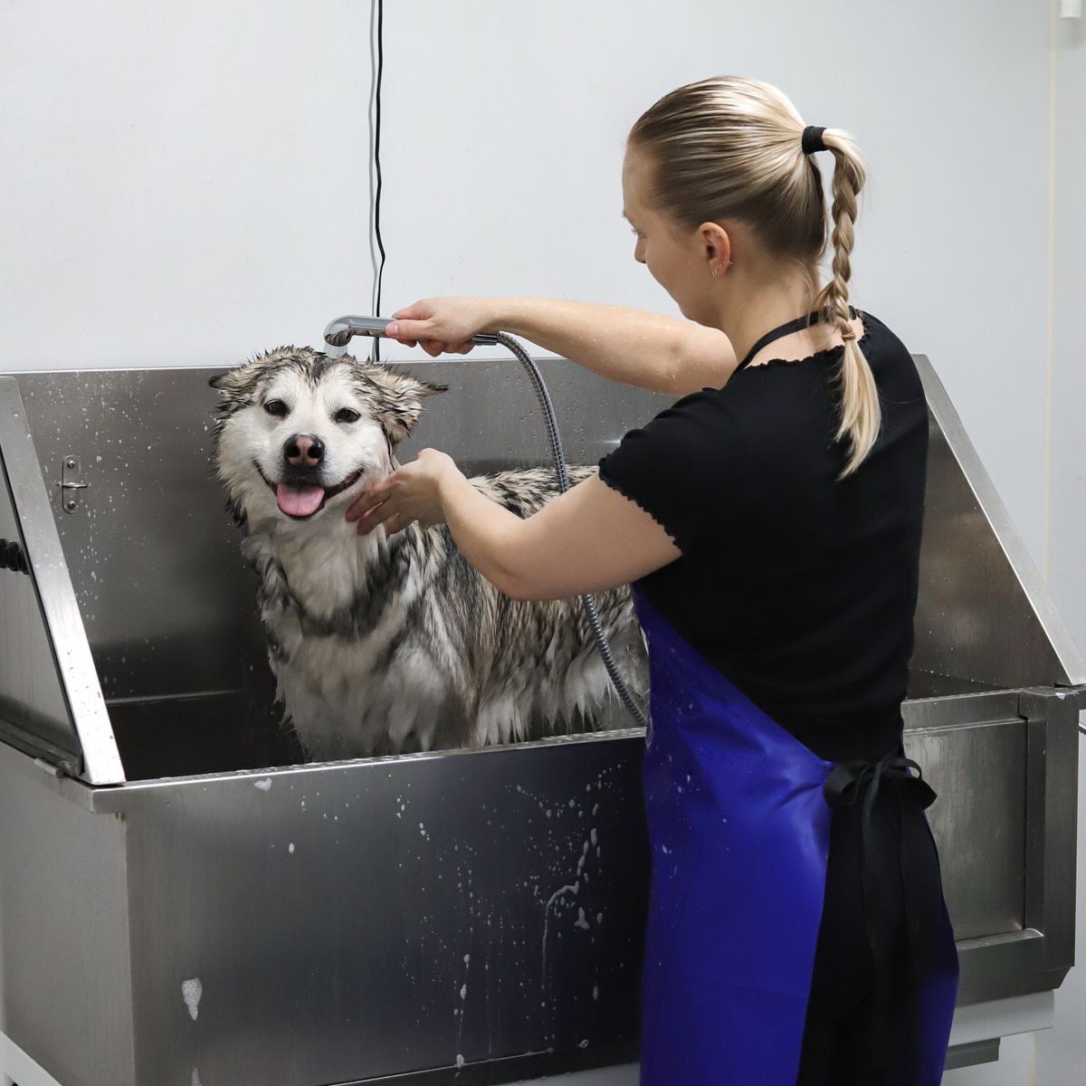 Koiran itsepalvelupesula Espoo