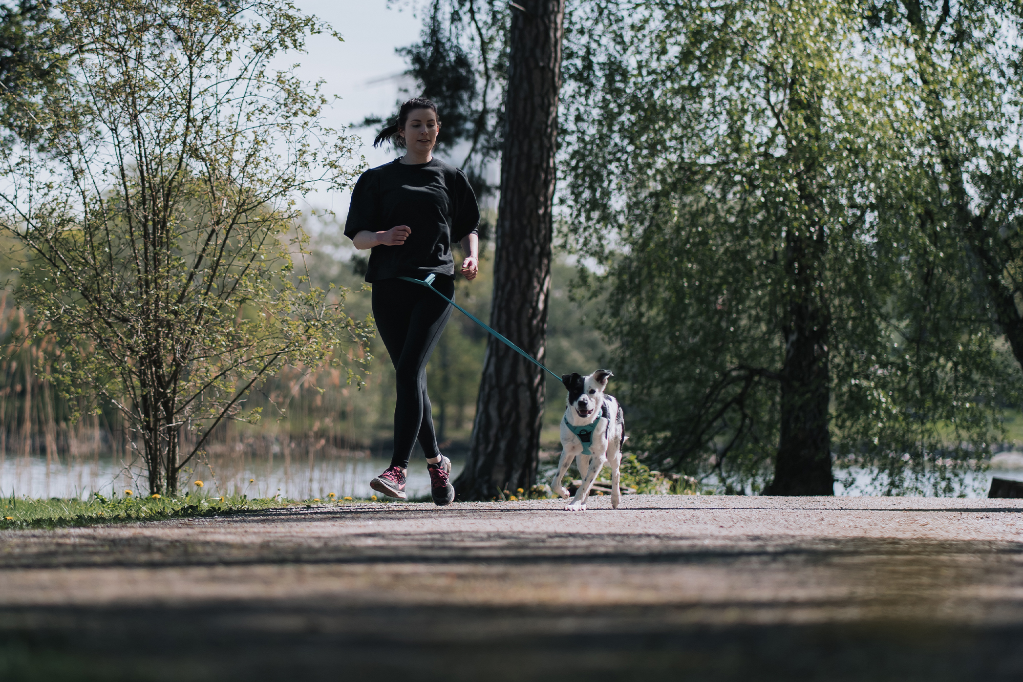 Pureplay article RUN WITH DOG DOG 3x2
