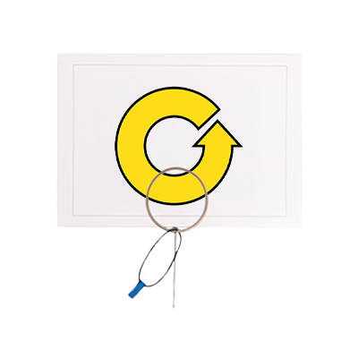 Rallylydighet