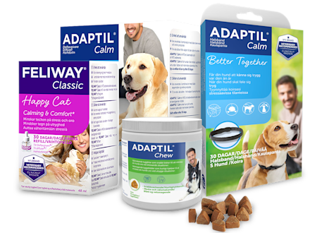 Adaptil ja Feliway -tyynnyttävät tuotteet kissoille ja koirille