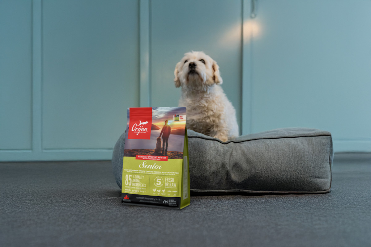 Pureplay senior dog food DOG 3x2