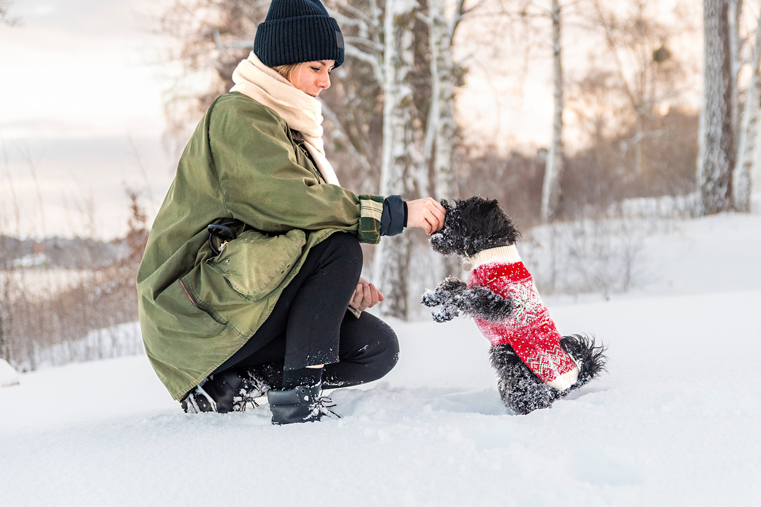 Pureplay article DOG FOOD HOST DOG 3x2