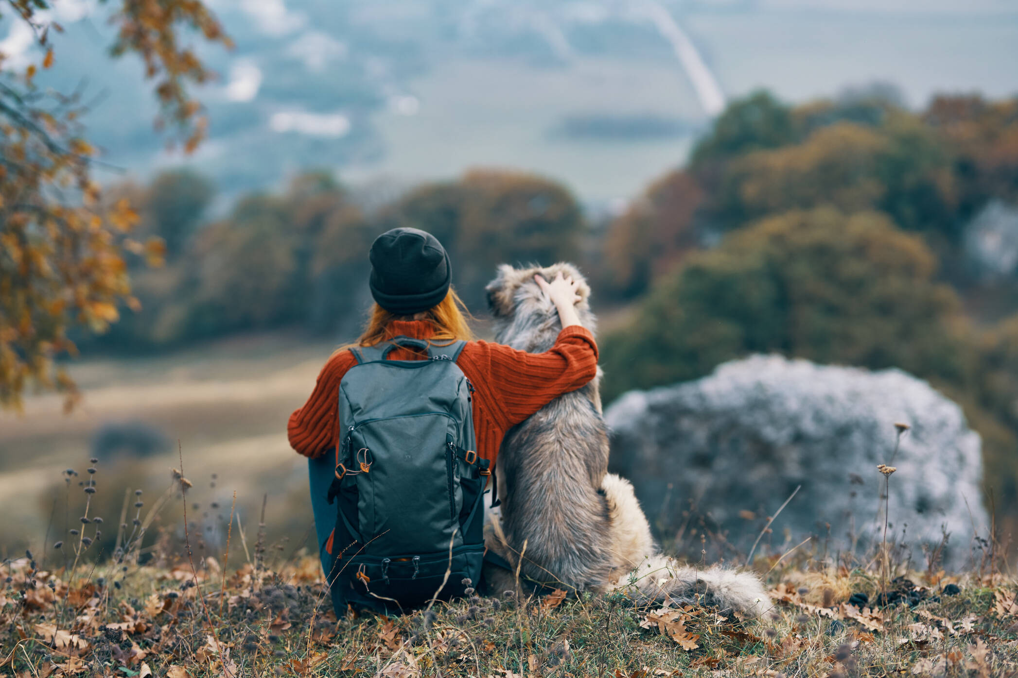 AdobeStock 432615392 autumn dog