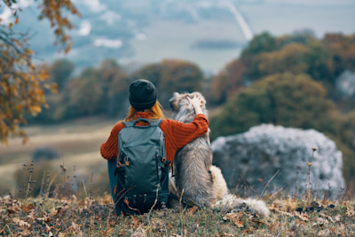 AdobeStock 432615392 syksy ja koira