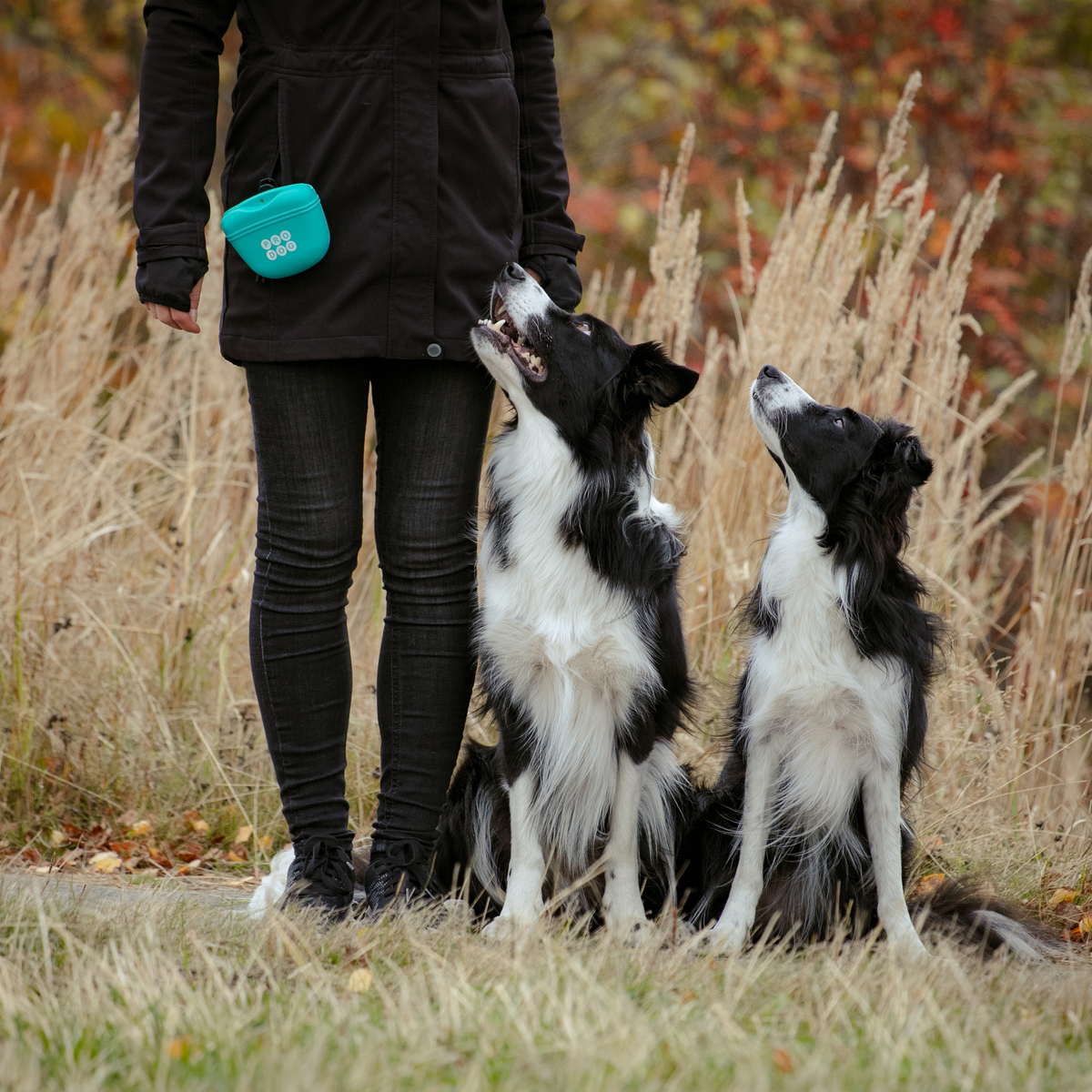 156008 Pro Dog blue treat bag 1-7