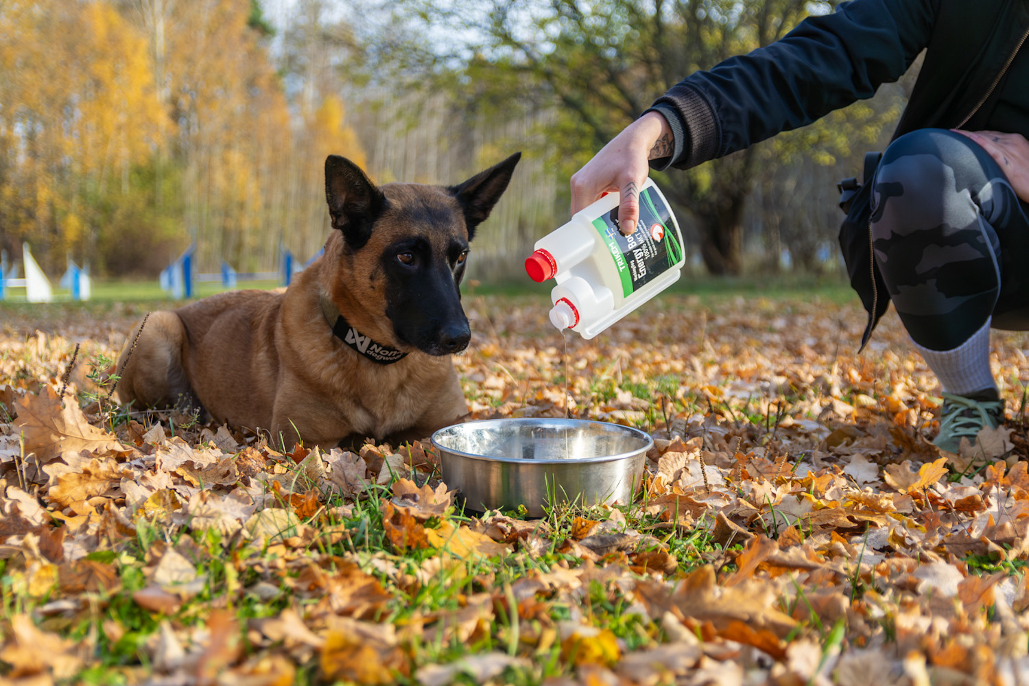 Pureplay article FATTY ACIDS DOG 3x2