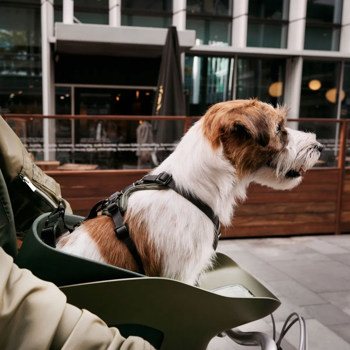 Non-stop-bike-antenna