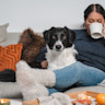 Pureplay article Buy Dog DOG 3x2