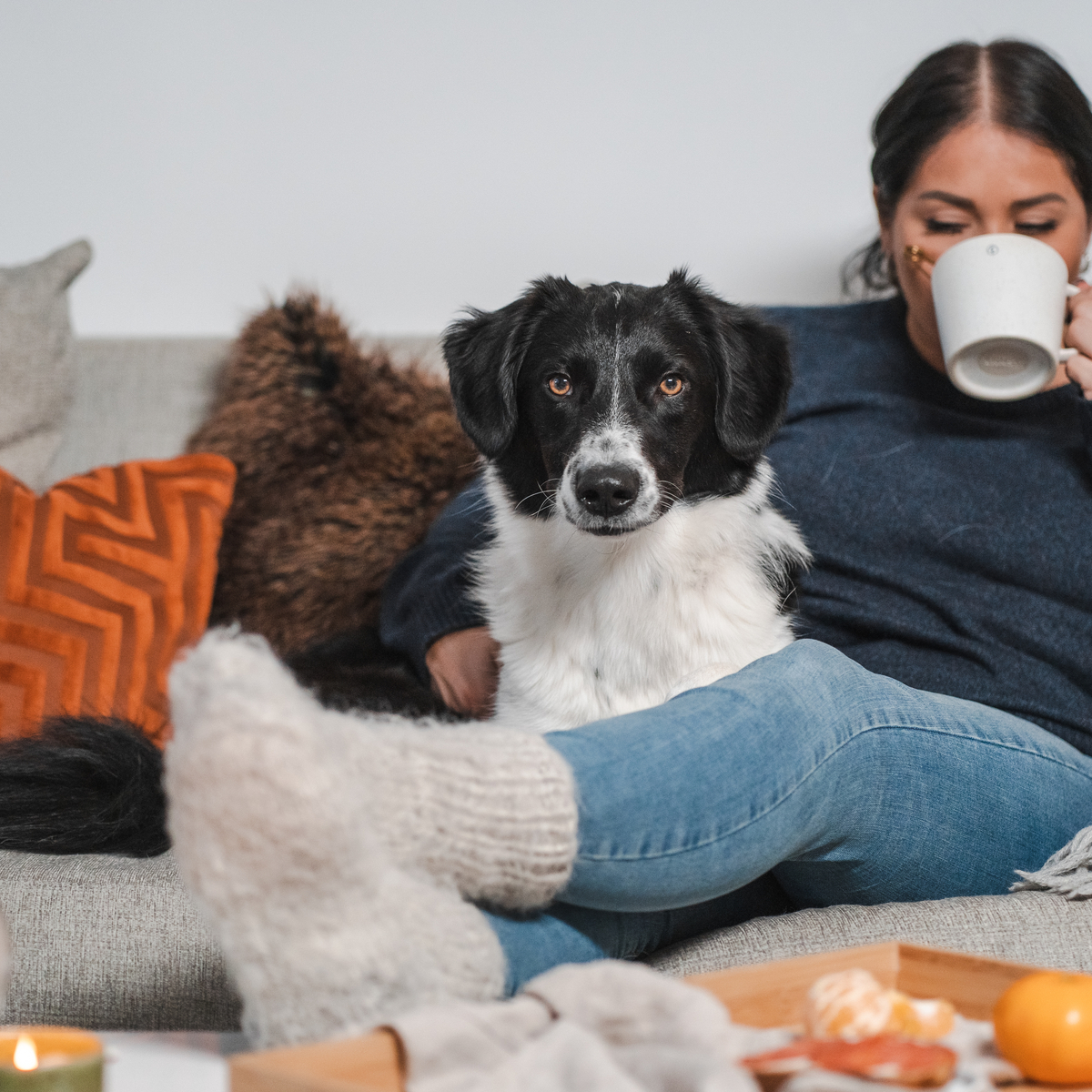 Pureplay article Buy Dog DOG 3x2