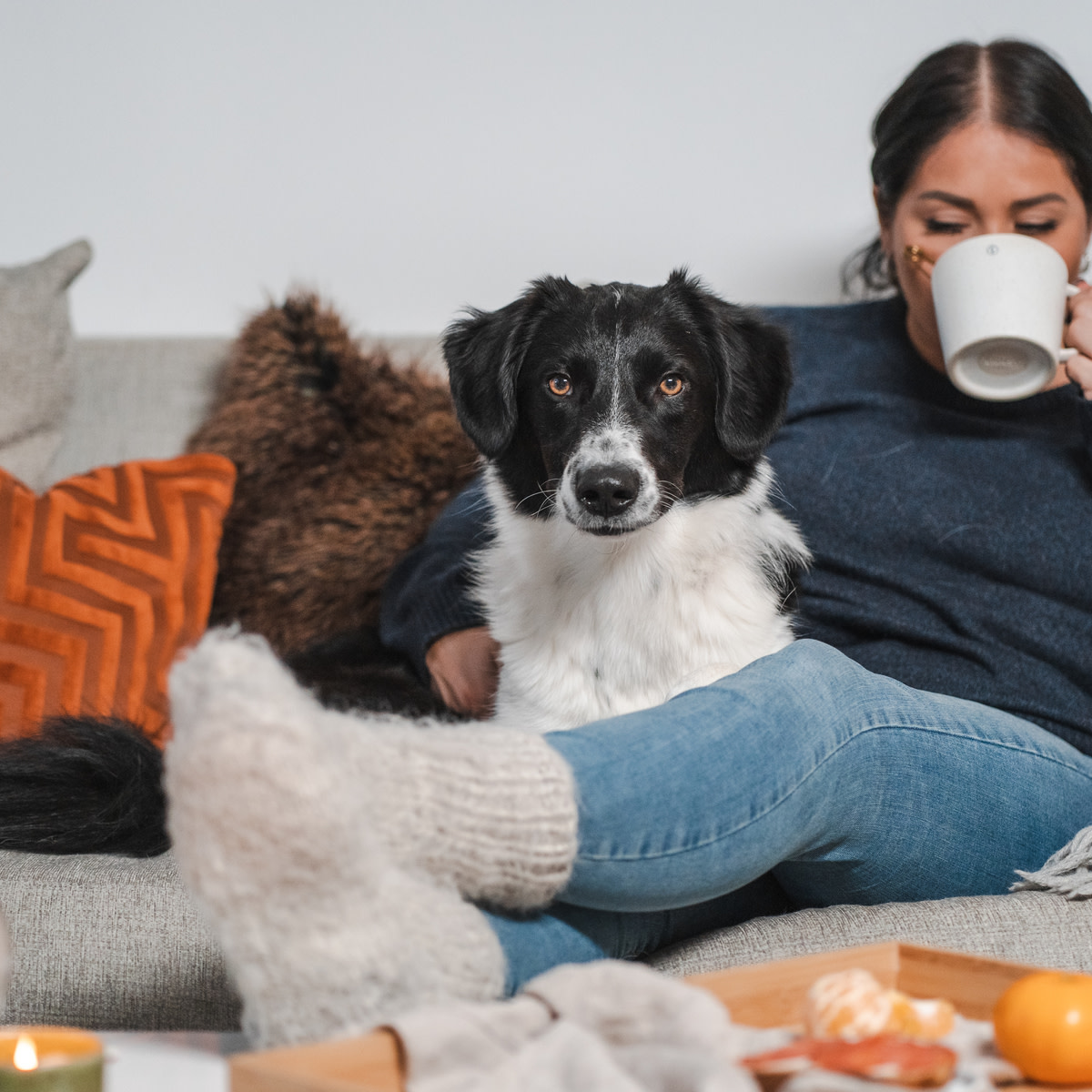 Pureplay article Buy Dog DOG 3x2