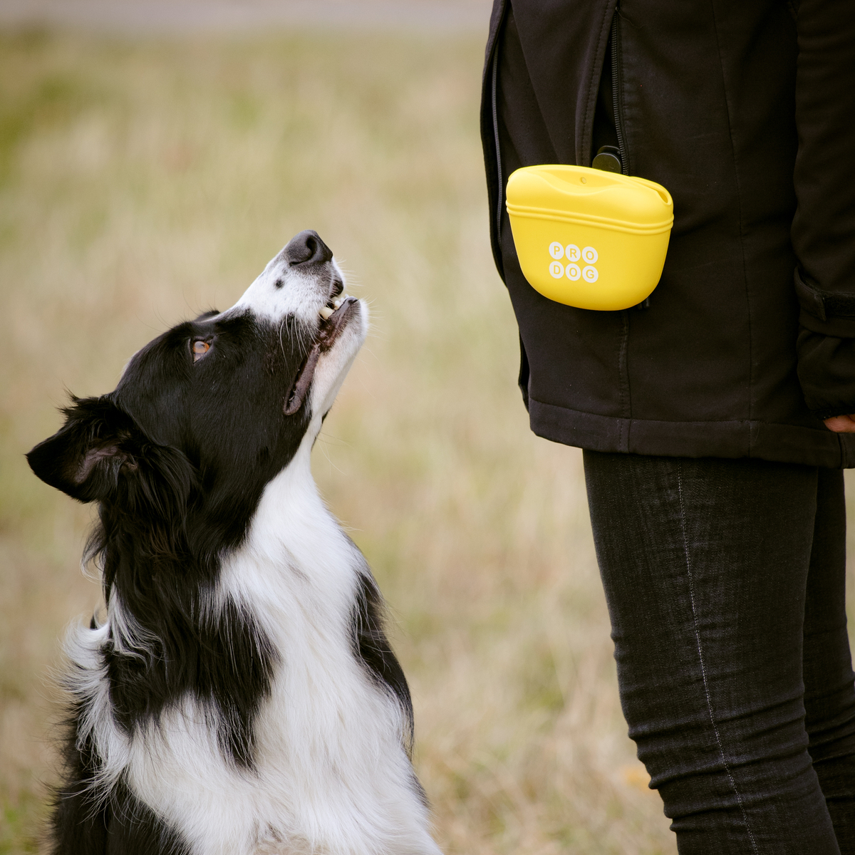 156007 Pro Dog yellow treat bag 1-10