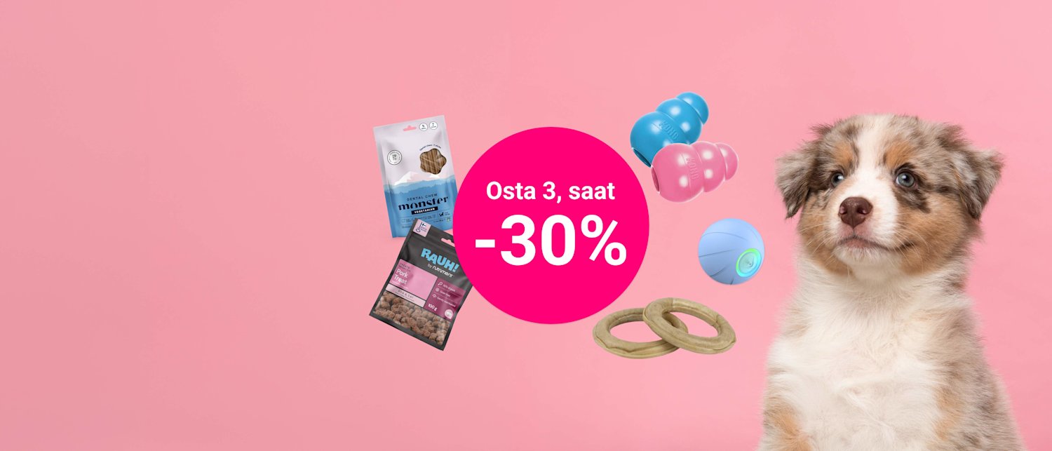 Koiranpäivätarjous