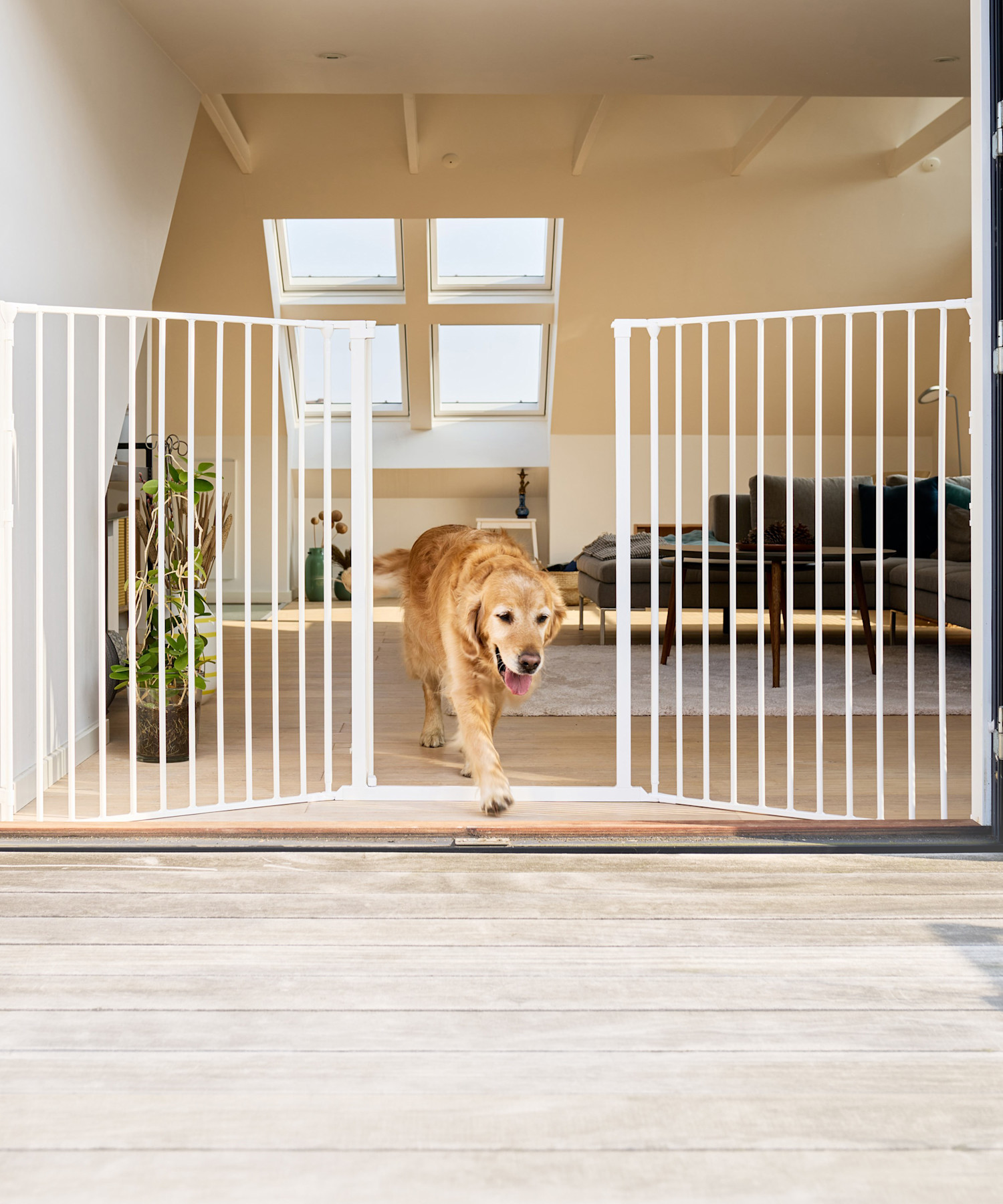 Pureplay When Do You Need a Dog Gate at Home DOG 3x2