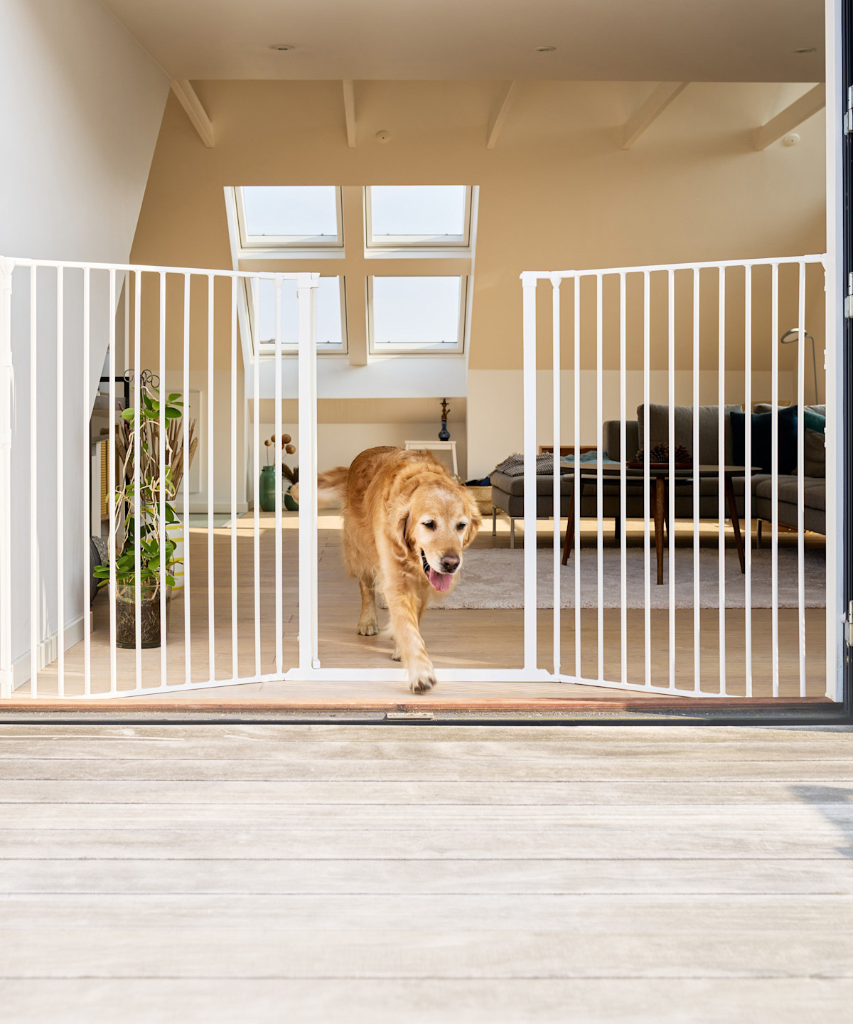 Pureplay When Do You Need a Dog Gate at Home DOG 3x2