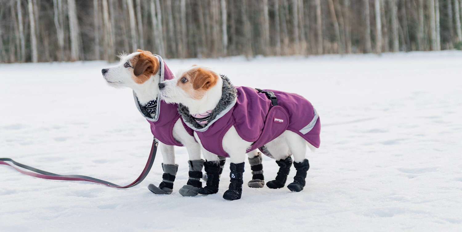 Russelit tossut jalassa talvella