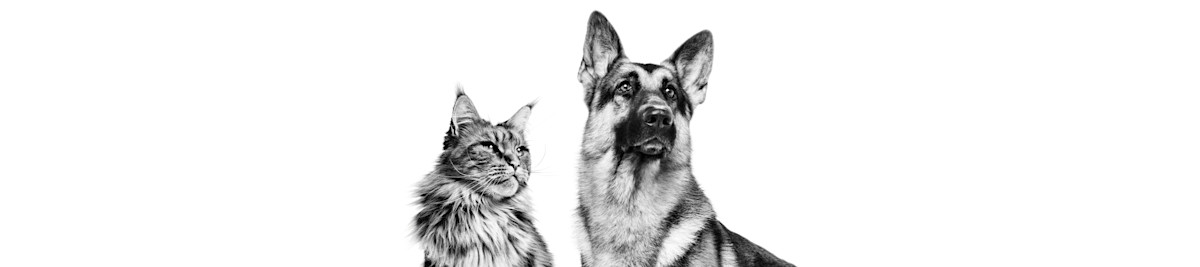 ROYAL CANIN