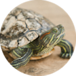 Navigation thumbnail 6
