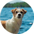 Navigation thumbnail 1