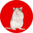 Navigation thumbnail campaignothernaimals