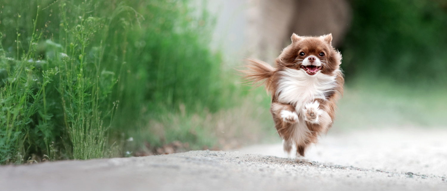 Kevätrieha - Katso tuotteet!