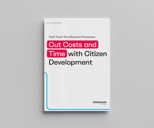 Mockup Citizen Development Whitepaper