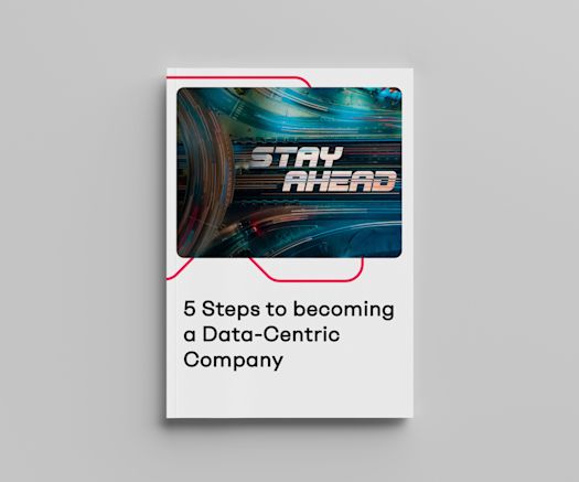 Whitepaper Mockup: 5 Steps to becoming a Data Centric Company