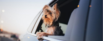 Is an Auto Loan Secured or Unsecured?
