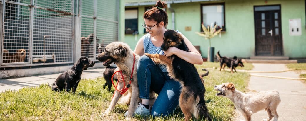 Starting a Nonprofit Animal Rescue in 7 Steps