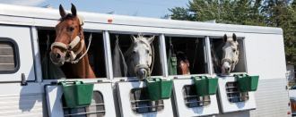 Horse Trailer Financing: 8 Things You Should Know