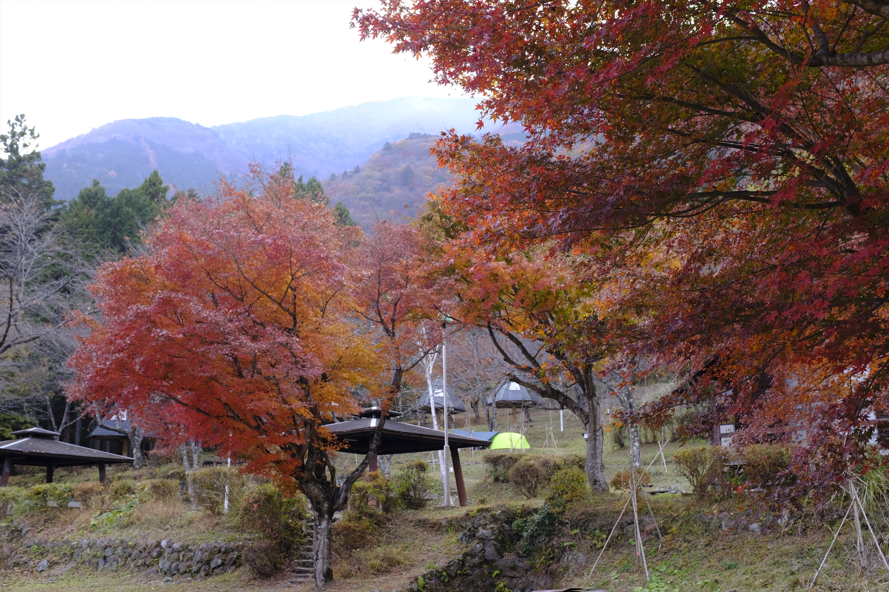 minobu_camp_site_1