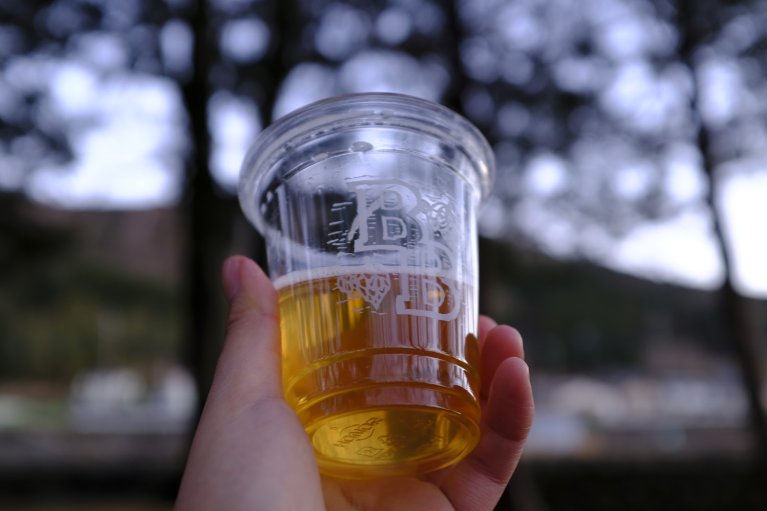 craft_beer_outdoor
